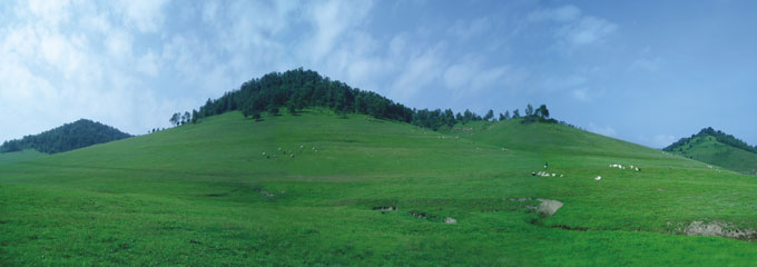 PP���ӡ�������(������Ϸ)�ٷ���վ