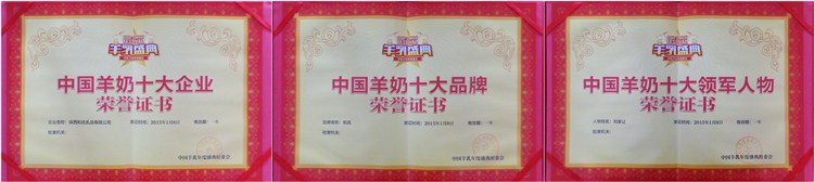 PP���ӡ�������(������Ϸ)�ٷ���վ