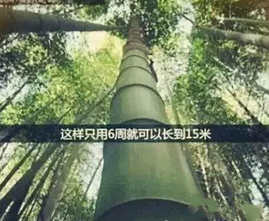 PP���ӡ�������(������Ϸ)�ٷ���վ