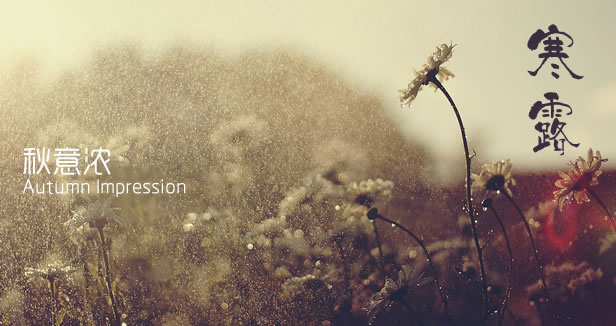 PP���ӡ�������(������Ϸ)�ٷ���վ