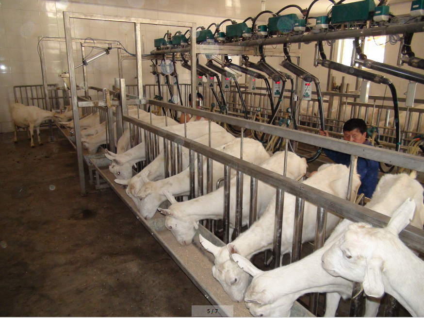 PP���ӡ�������(������Ϸ)�ٷ���վ