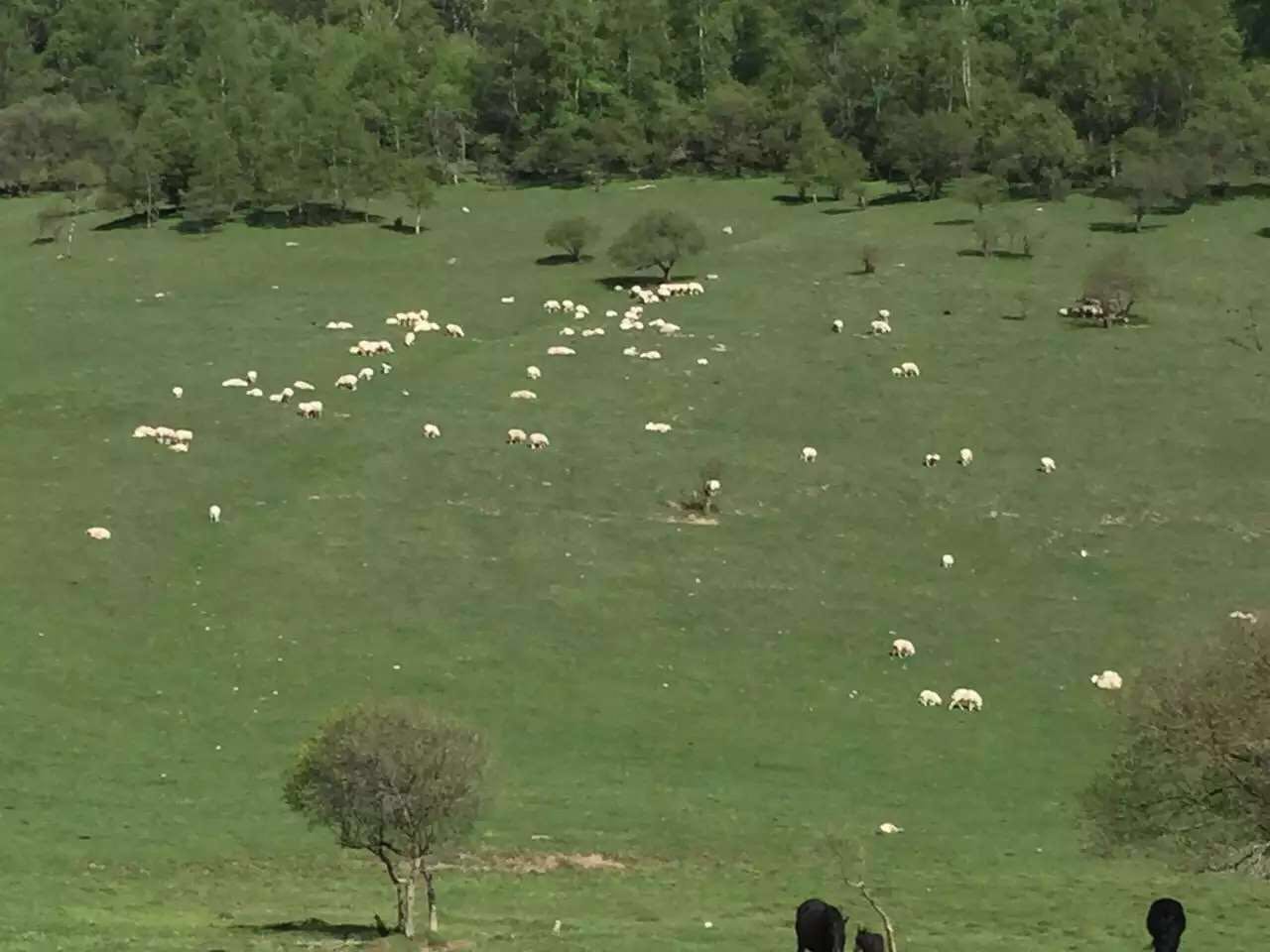 PP���ӡ�������(������Ϸ)�ٷ���վ