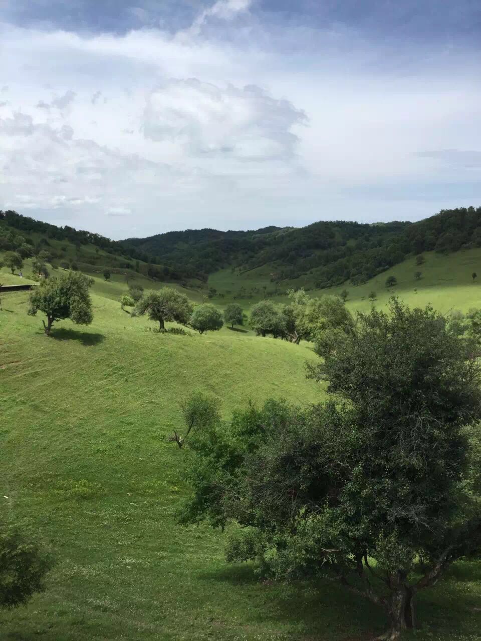 PP���ӡ�������(������Ϸ)�ٷ���վ