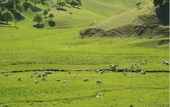 PP���ӡ�������(������Ϸ)�ٷ���վ