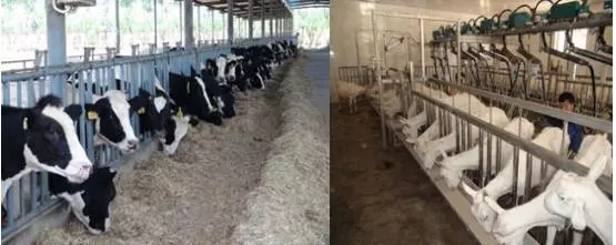 PP���ӡ�������(������Ϸ)�ٷ���վ