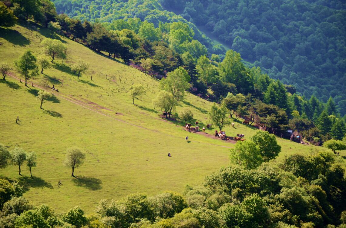 PP���ӡ�������(������Ϸ)�ٷ���վ