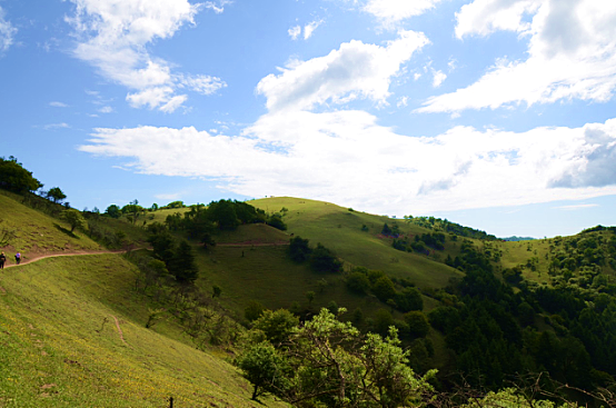 PP���ӡ�������(������Ϸ)�ٷ���վ