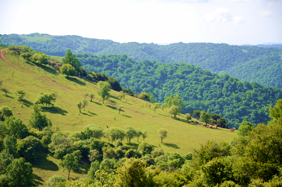 PP���ӡ�������(������Ϸ)�ٷ���վ