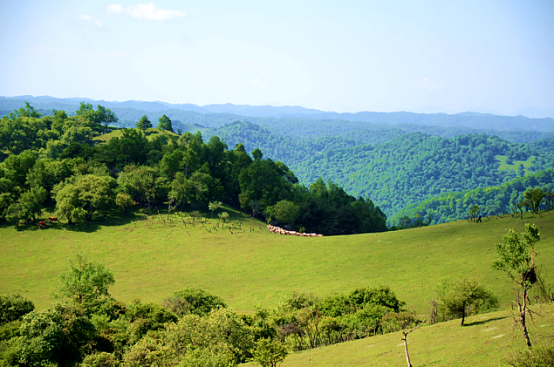 PP���ӡ�������(������Ϸ)�ٷ���վ