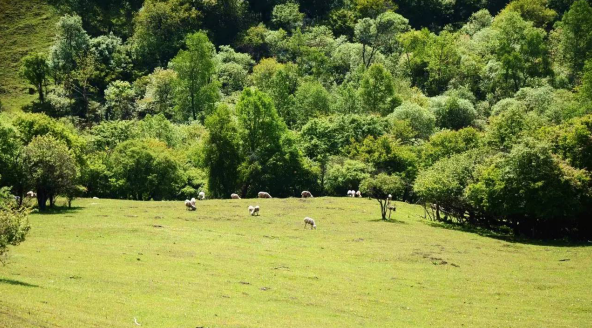 PP���ӡ�������(������Ϸ)�ٷ���վ