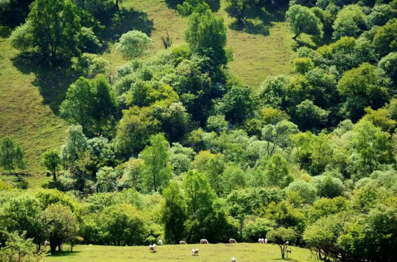 PP���ӡ�������(������Ϸ)�ٷ���վ