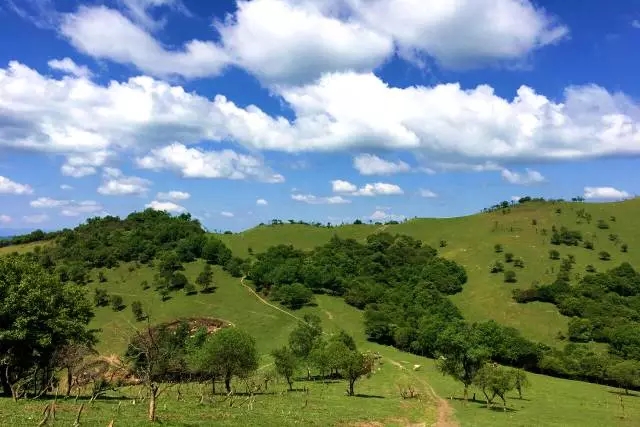 PP���ӡ�������(������Ϸ)�ٷ���վ