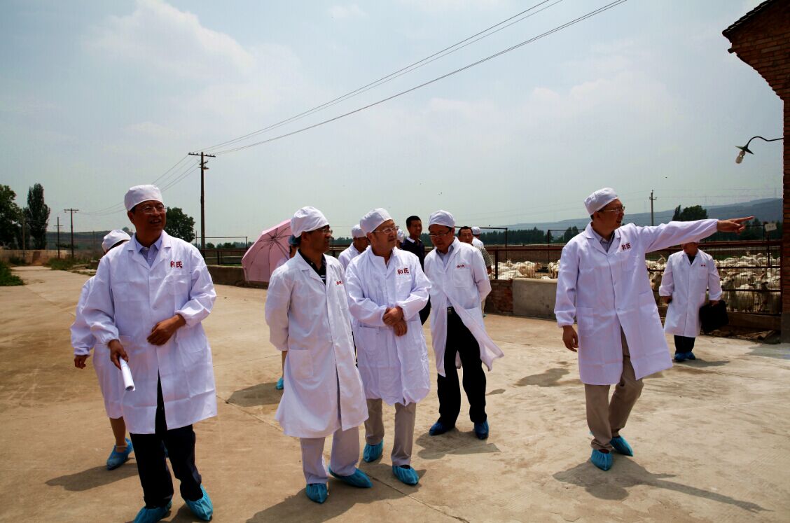 PP���ӡ�������(������Ϸ)�ٷ���վ