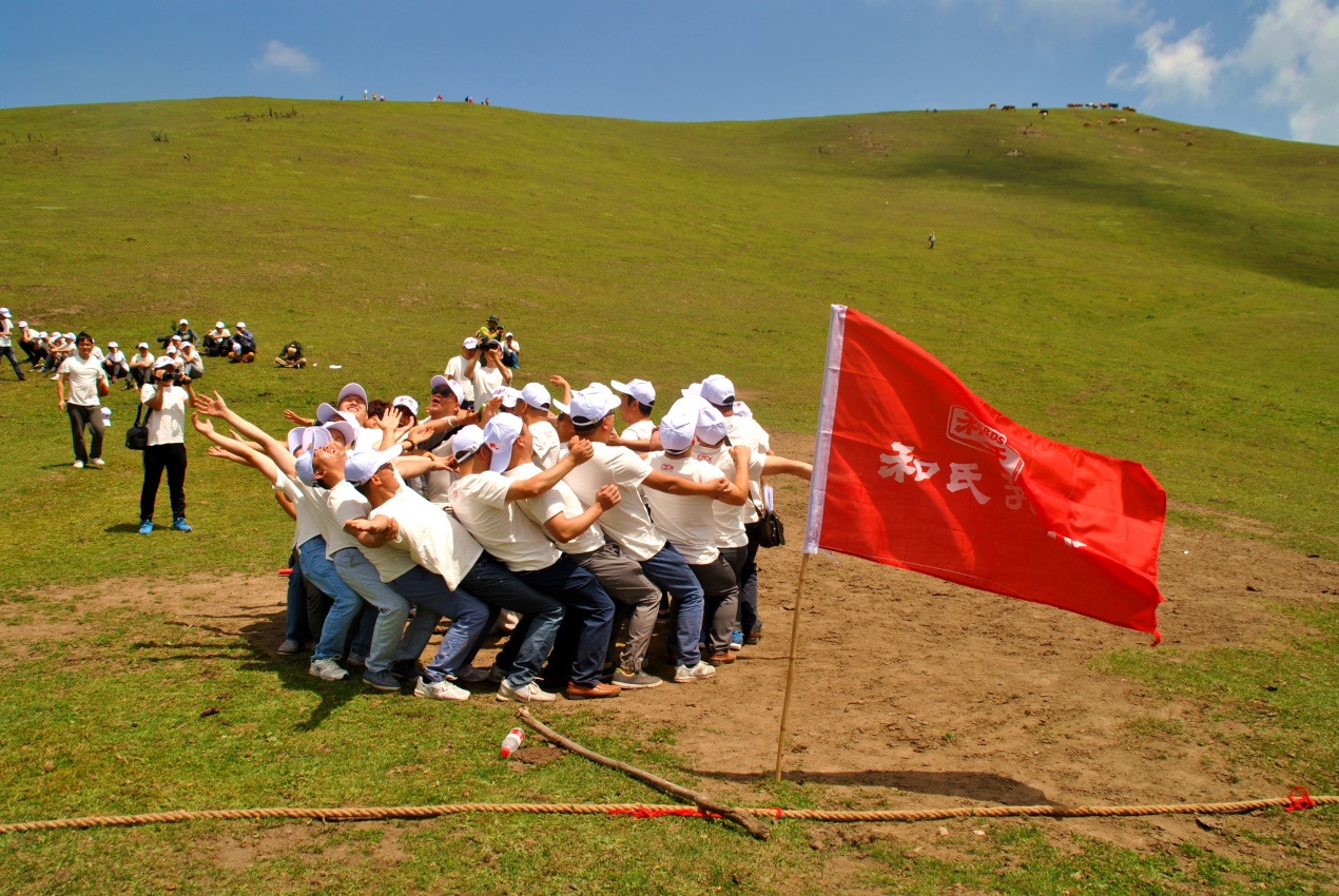 PP���ӡ�������(������Ϸ)�ٷ���վ