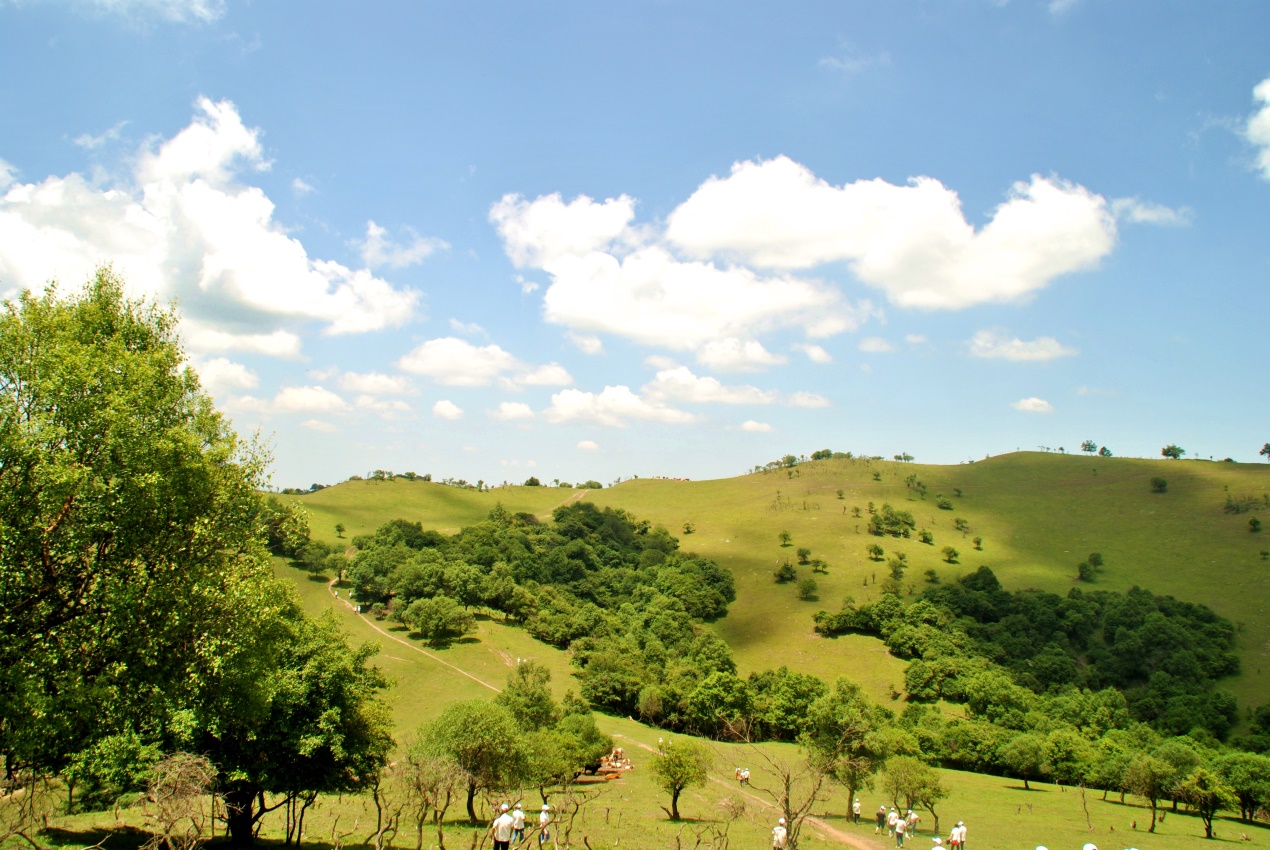 PP���ӡ�������(������Ϸ)�ٷ���վ