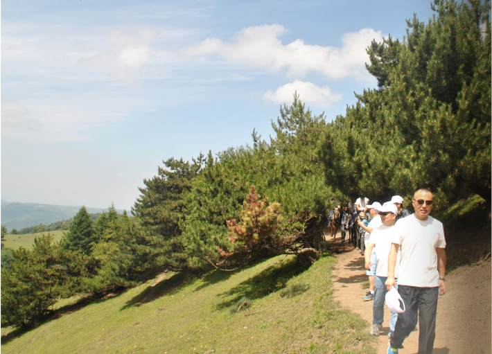 PP���ӡ�������(������Ϸ)�ٷ���վ