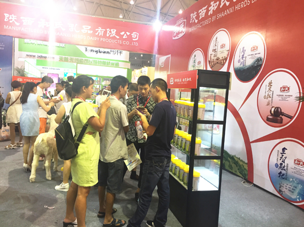 PP���ӡ�������(������Ϸ)�ٷ���վ