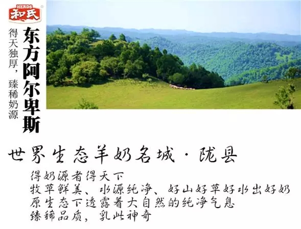 PP���ӡ�������(������Ϸ)�ٷ���վ